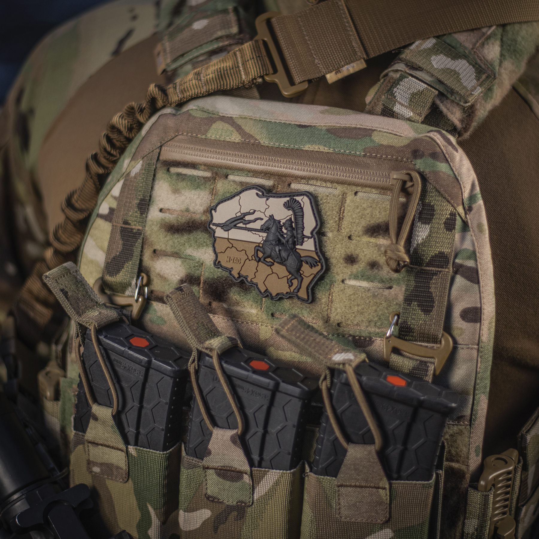 M-Tac нашивка Husaria 3D PVC Coyote M-Tac нашивка Husaria 3D PVC Coyote - Зображення 6